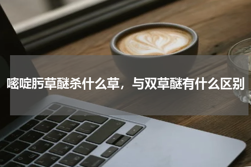 嘧啶肟草醚杀什么草，与双草醚有什么区别
