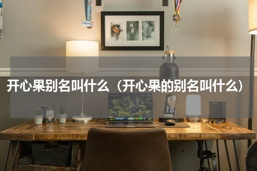 开心果别名叫什么（开心果的别名叫什么）