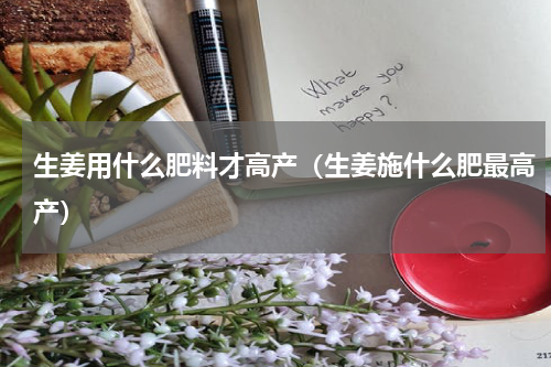 生姜用什么肥料才高产（生姜施什么肥最高产）