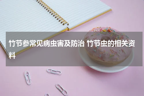 竹节参常见病虫害及防治 竹节虫的相关资料