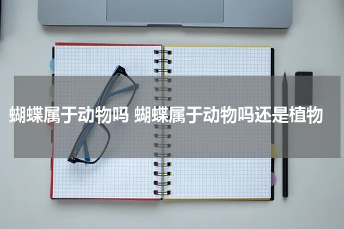 蝴蝶属于动物吗 蝴蝶属于动物吗还是植物