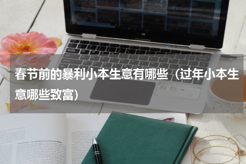春节前的暴利小本生意有哪些（过年小本生意哪些致富）