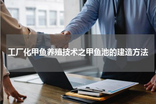工厂化甲鱼养殖技术之甲鱼池的建造方法