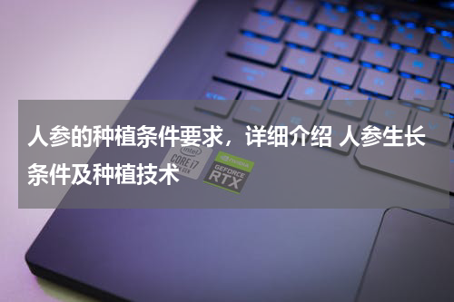 人参的种植条件要求，详细介绍 人参生长条件及种植技术