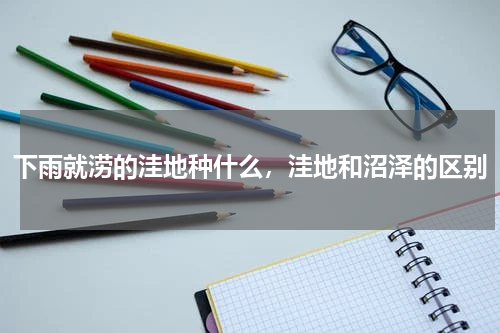 下雨就涝的洼地种什么，洼地和沼泽的区别
