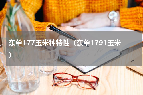 东单177玉米种特性（东单1791玉米）