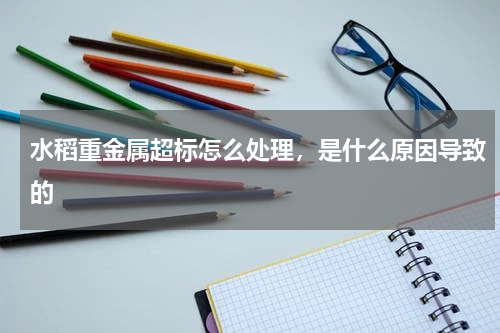 水稻重金属超标怎么处理，是什么原因导致的