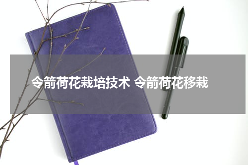 令箭荷花栽培技术 令箭荷花移栽