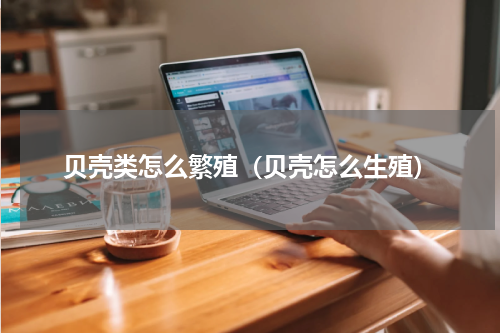贝壳类怎么繁殖（贝壳怎么生殖）
