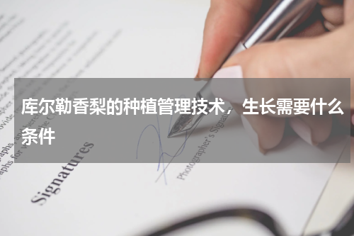 库尔勒香梨的种植管理技术，生长需要什么条件