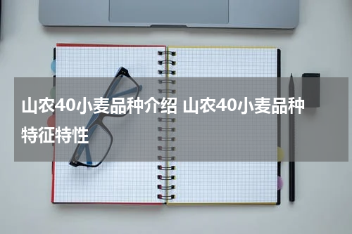 山农40小麦品种介绍 山农40小麦品种特征特性