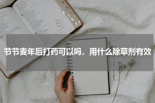 节节麦年后打药可以吗，用什么除草剂有效