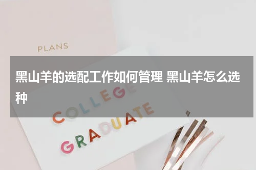 黑山羊的选配工作如何管理 黑山羊怎么选种