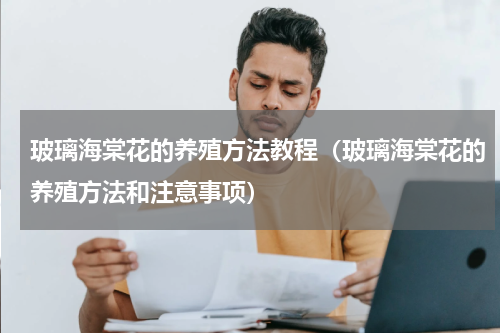 玻璃海棠花的养殖方法教程（玻璃海棠花的养殖方法和注意事项）