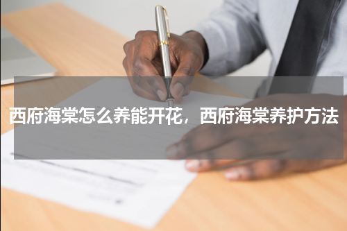 西府海棠怎么养能开花，西府海棠养护方法