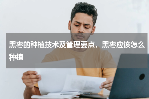 黑枣的种植技术及管理要点，黑枣应该怎么种植
