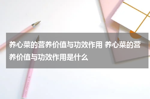 养心菜的营养价值与功效作用 养心菜的营养价值与功效作用是什么