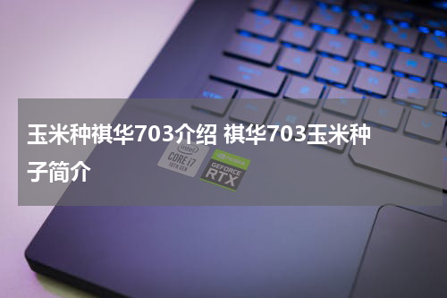 玉米种祺华703介绍 祺华703玉米种子简介