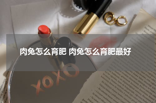 肉兔怎么育肥 肉兔怎么育肥最好