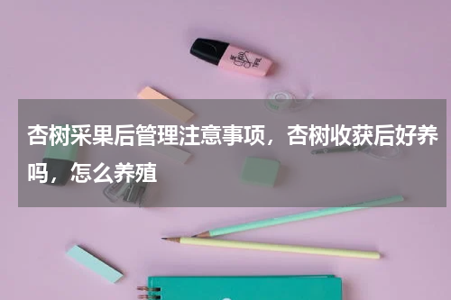杏树采果后管理注意事项，杏树收获后好养吗，怎么养殖