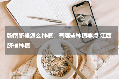 赣南脐橙怎么种植，有哪些种植要点 江西脐橙种植