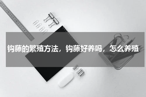 钩藤的繁殖方法，钩藤好养吗，怎么养殖