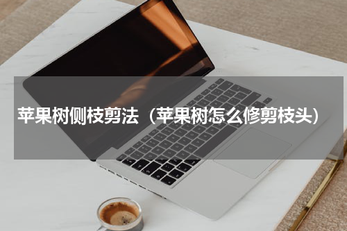 苹果树侧枝剪法（苹果树怎么修剪枝头）