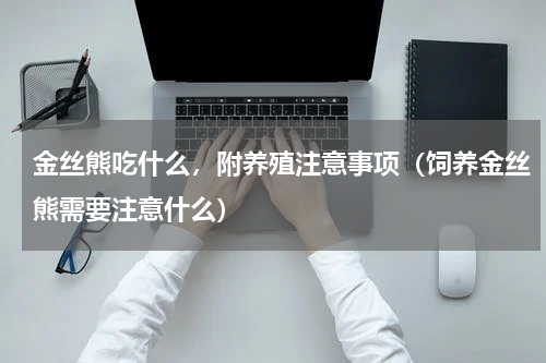 金丝熊吃什么，附养殖注意事项（饲养金丝熊需要注意什么）
