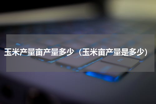 玉米产量亩产量多少（玉米亩产量是多少）