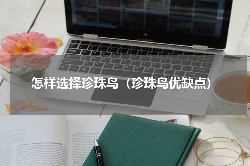 怎样选择珍珠鸟（珍珠鸟优缺点）