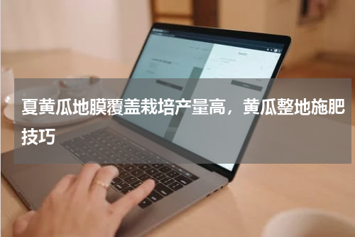 夏黄瓜地膜覆盖栽培产量高，黄瓜整地施肥技巧