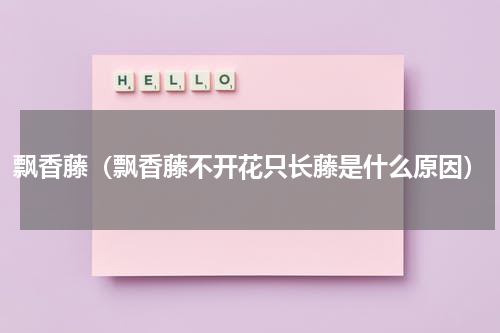 飘香藤（飘香藤不开花只长藤是什么原因）