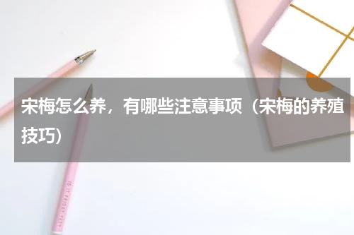 宋梅怎么养，有哪些注意事项（宋梅的养殖技巧）