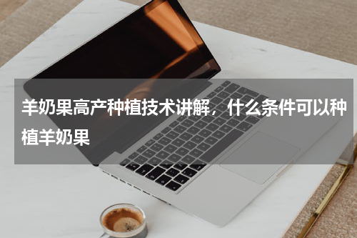 羊奶果高产种植技术讲解，什么条件可以种植羊奶果