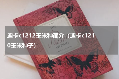 迪卡c1212玉米种简介（迪卡c1210玉米种子）