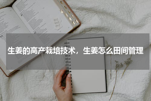 生姜的高产栽培技术，生姜怎么田间管理