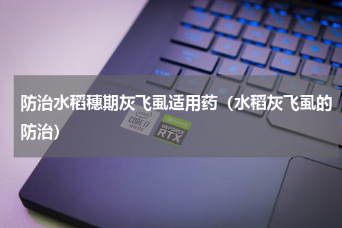 防治水稻穗期灰飞虱适用药（水稻灰飞虱的防治）