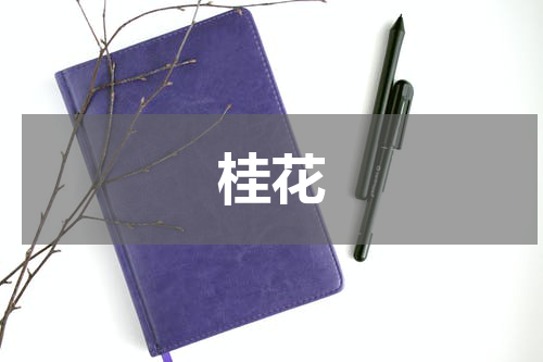 桂花