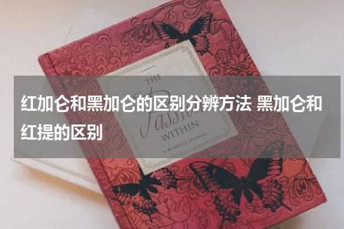 红加仑和黑加仑的区别分辨方法 黑加仑和红提的区别