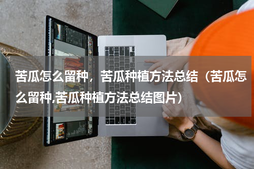 苦瓜怎么留种，苦瓜种植方法总结（苦瓜怎么留种,苦瓜种植方法总结图片）