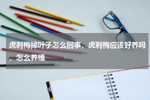 虎刺梅掉叶子怎么回事，虎刺梅应该好养吗，怎么养殖