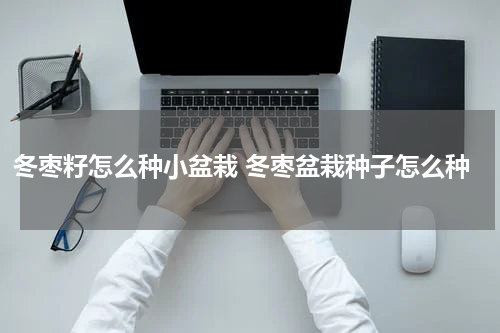 冬枣籽怎么种小盆栽 冬枣盆栽种子怎么种