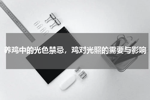 养鸡中的光色禁忌，鸡对光照的需要与影响