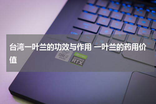 台湾一叶兰的功效与作用 一叶兰的药用价值