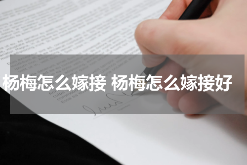 杨梅怎么嫁接 杨梅怎么嫁接好