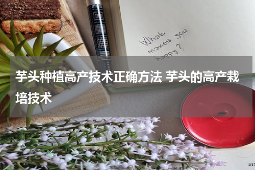 芋头种植高产技术正确方法 芋头的高产栽培技术