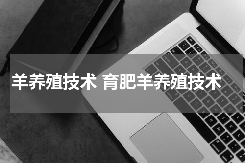 羊养殖技术 育肥羊养殖技术