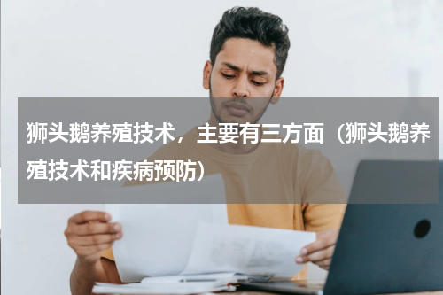 狮头鹅养殖技术，主要有三方面（狮头鹅养殖技术和疾病预防）