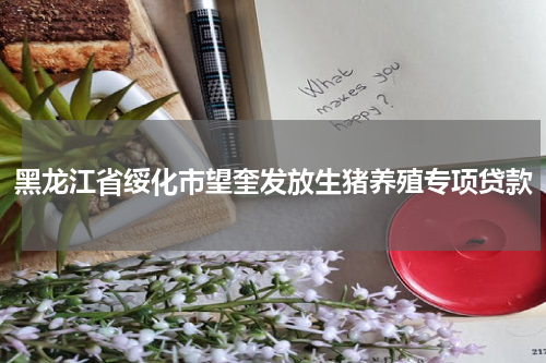 黑龙江省绥化市望奎发放生猪养殖专项贷款