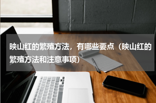 映山红的繁殖方法，有哪些要点（映山红的繁殖方法和注意事项）